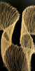 Cobweb Splatter - Gold - 400 ml